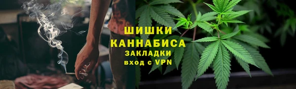 дмт Осташков