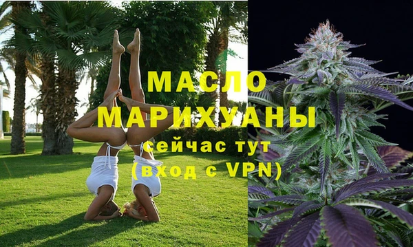 дмт Осташков