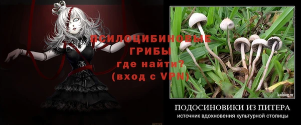 MDMA Лабытнанги